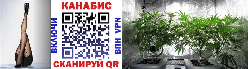 Купить закладку Кадников COCAIN  СК  ГАШИШ  Конопля  АМФ  Мефедрон 