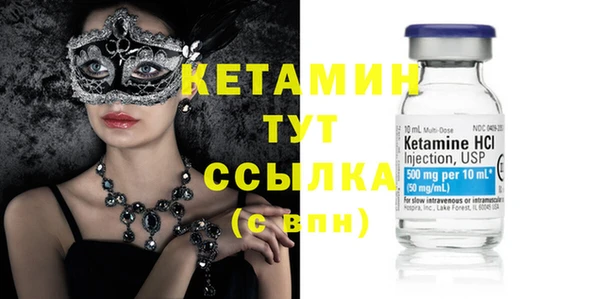 прущие грибы Верея