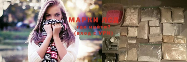 прущие грибы Верея