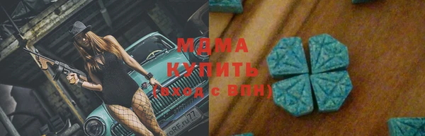 прущие грибы Верея