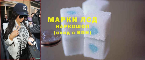 прущие грибы Верея