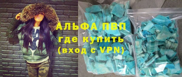 прущие грибы Верея
