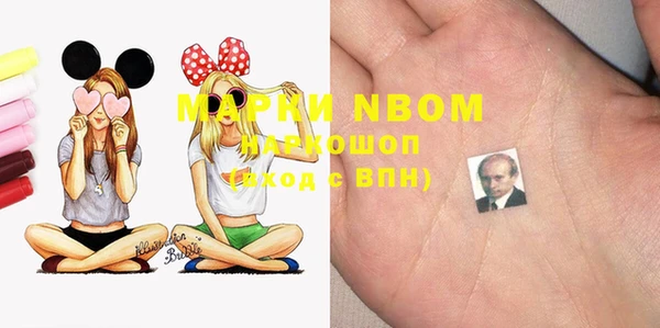 прущие грибы Верея
