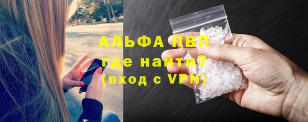 прущие грибы Верея