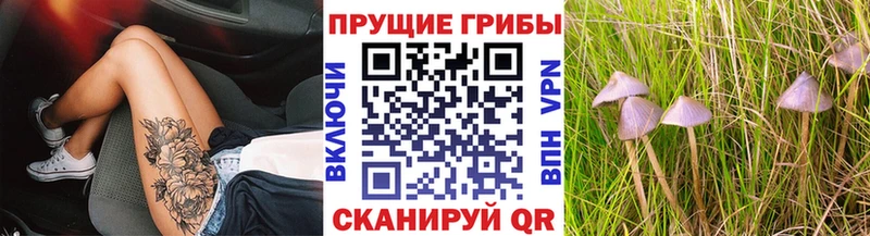 Псилоцибиновые грибы Magic Shrooms  купить закладку  Кадников 